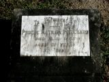image of grave number 852131